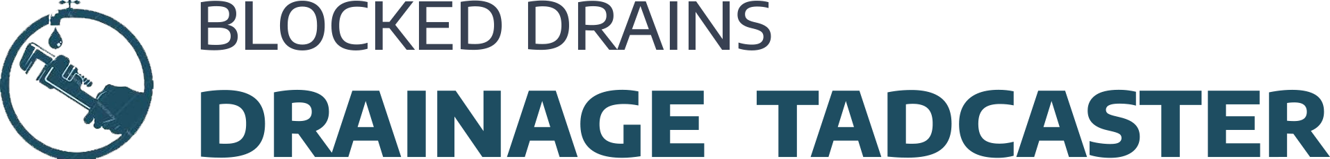 website logo